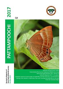 Pattampoochi - Butterfly Magazine
