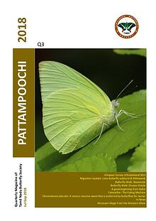 Pattampoochi - Butterfly Magazine