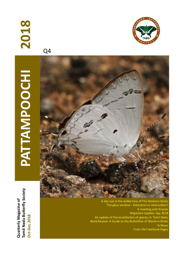 Pattampoochi - Butterfly Magazine Pattampoochi Butterfly Magazine - Wings 2 Veins 4