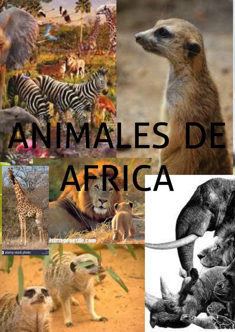 Animales de África 1