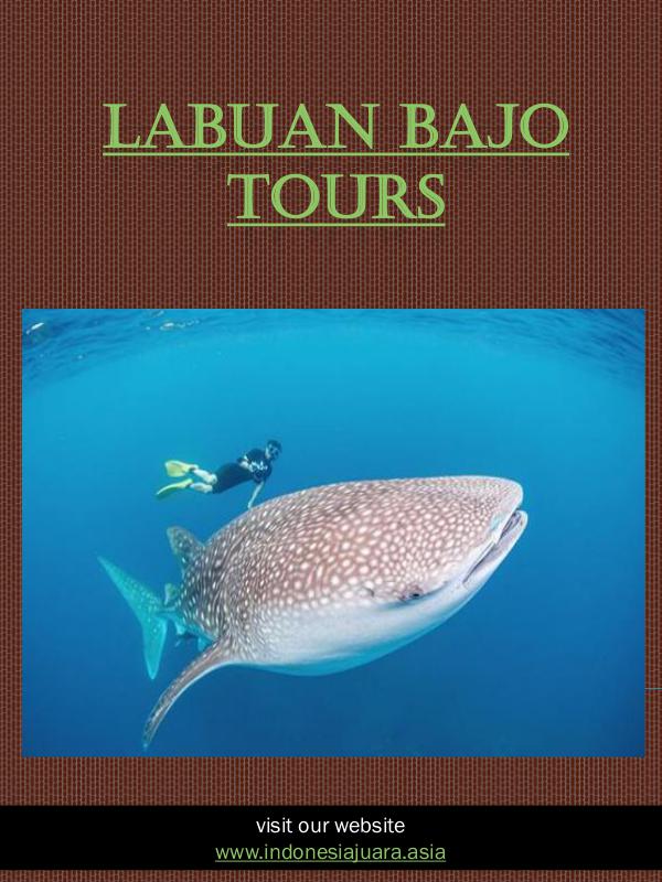 Labuan Bajo Tours | indonesiajuara.asia q