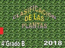 CLASIFICACIÓN DE PLANTAS