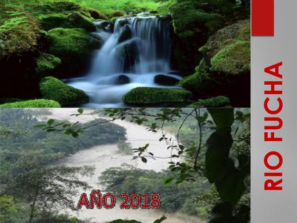 Revista_Ambiental_Rio Fucha_Grupo 358028_3 CARTILLA_AMBIENTAL_RIO FUCHA