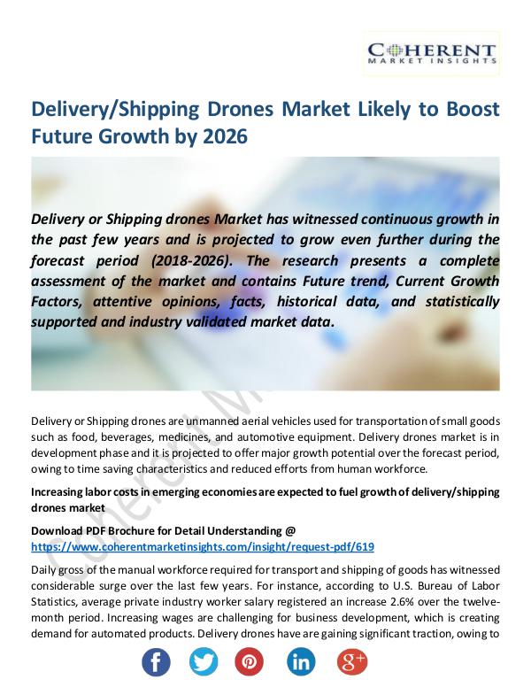 Technology DeliveryShipping-Drones-Market