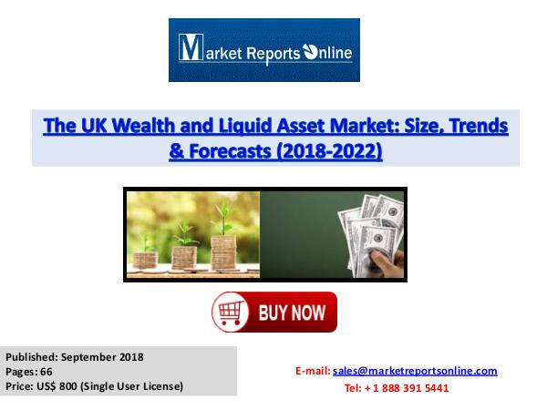 UK Wealth and Liquid Asset Market 2018-2022 Forecast Sept 2018