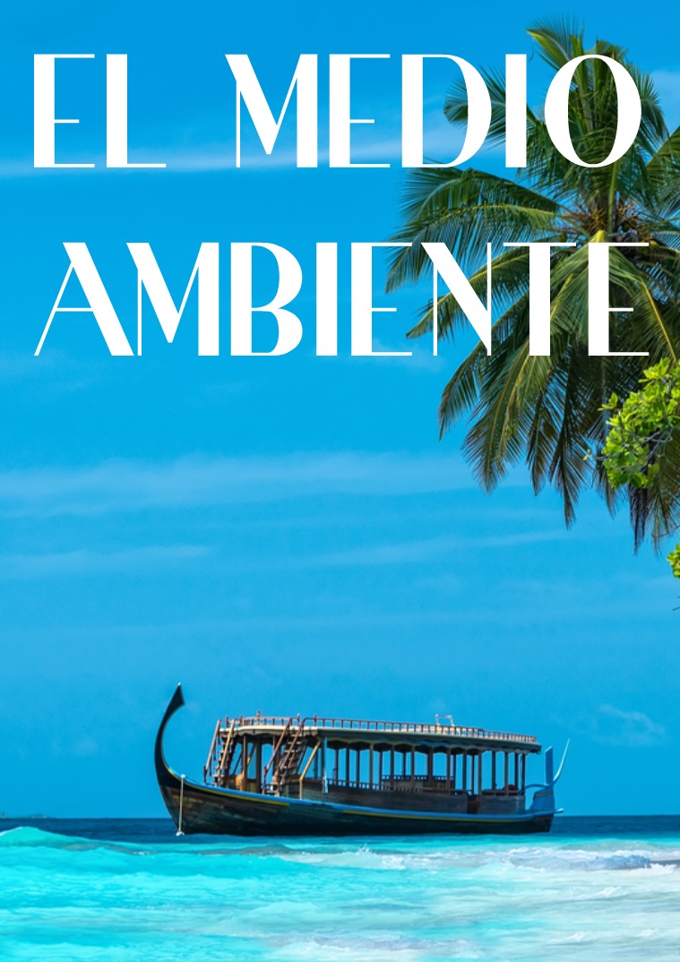 EL MEDIO AMBIENTE EL MEDIO AMBIENTE