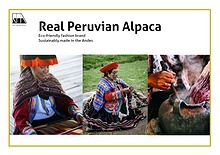 Real Peruvian Alpaca Catalogue