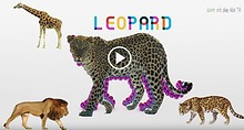 Learn Wild Animals Names and Sounds For Kids with colorful soccer bal