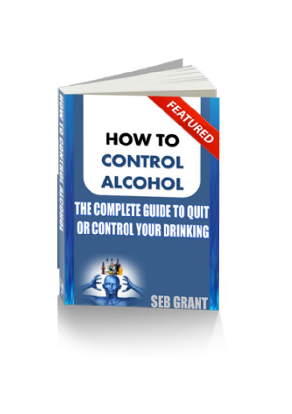 A Simple Path from Alcohol Misery to Alcohol Mastery PDF EBook Seb Grant Quit Alcohol Formula