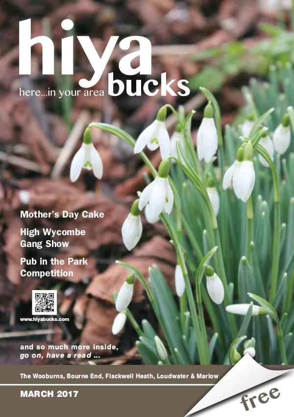 hiya bucks in Bourne End, Flackwell Heath, Marlow, Wycombe, Wooburn March 2017