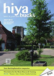 hiya bucks in Bourne End, Flackwell Heath, Marlow, Wycombe, Wooburn