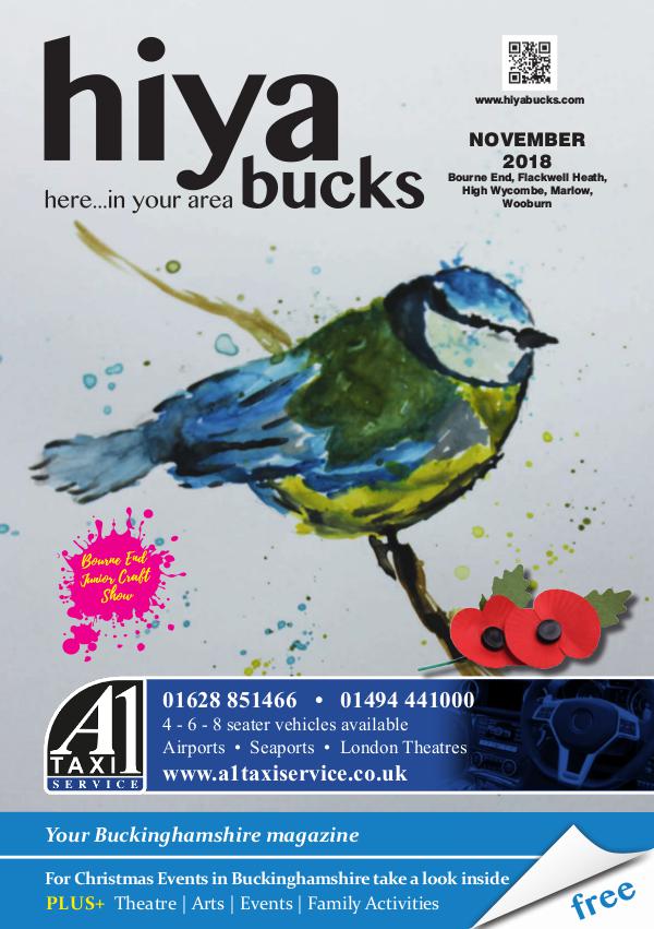 hiya bucks in Bourne End, Flackwell Heath, Marlow, Wycombe, Wooburn November 2018