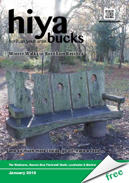 hiya bucks in Bourne End, Flackwell Heath, Marlow, Wycombe, Wooburn January 2016