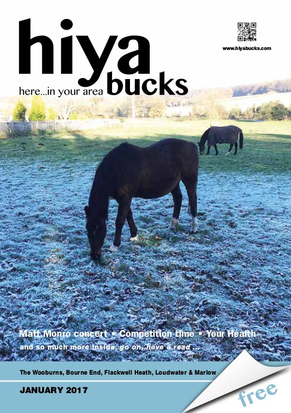 hiya bucks in Bourne End, Flackwell Heath, Marlow, Wycombe, Wooburn January 2017