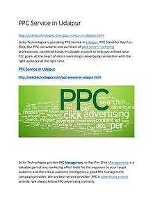 PPC Service in Udaipur