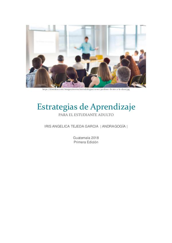Ebook aprendizaje Adulto libro ESTRATEGIAS DE APRENDIZAJE EN ADULTOS