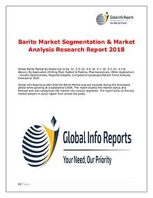 Global Info Reports