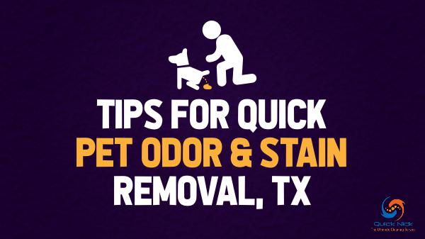 Quick Pet Odor & Stain Removal TX Tips for Quick Pet Odor & Stain Removal, TX