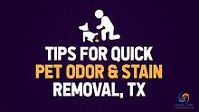 Quick Pet Odor & Stain Removal TX