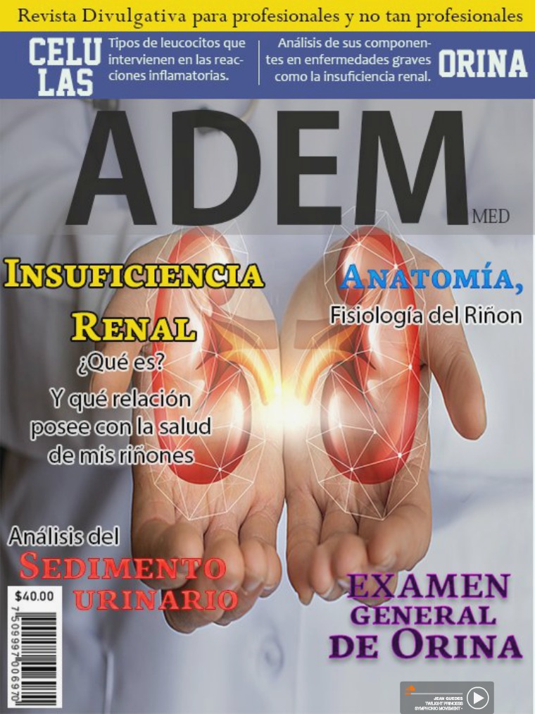 ADEM: Insuficiencia Renal Mayo 2019.