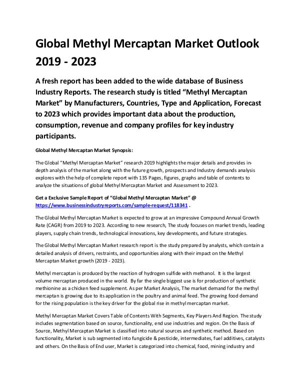 Market Analysis Report Global Methyl Mercaptan Market Outlook 2019 - 2023