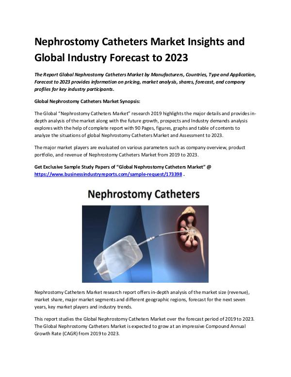 Market Analysis Report Nephrostomy Catheters Market 2019 - 2023