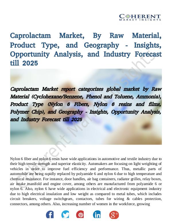 Market Research Global Caprolactam Market