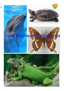 Fauna Dominicana