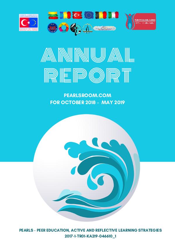 pearls web analiz raporu