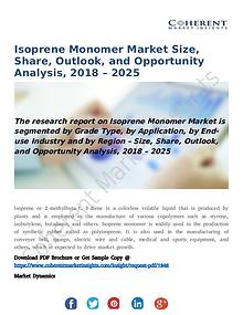 Isoprene Monomer Market Size, Share, Outlook, and Opportunity Analysi