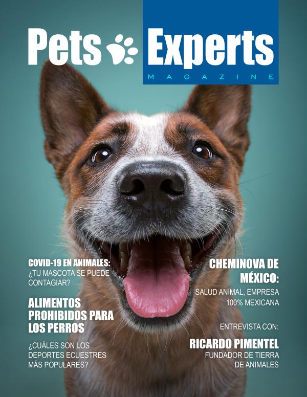 Pets Experts Magazine Diciembre 2020