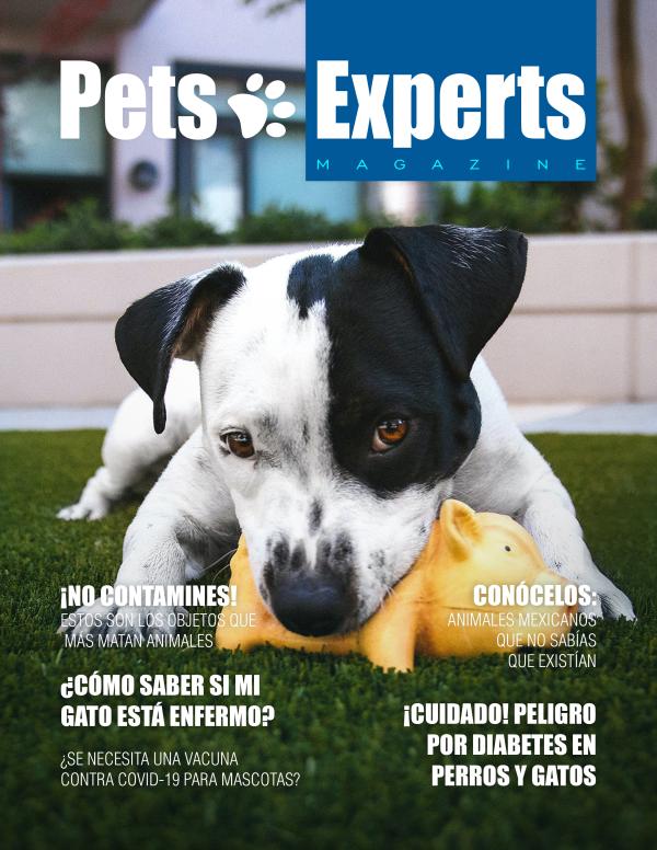 Pets Experts Magazine Enero 2021