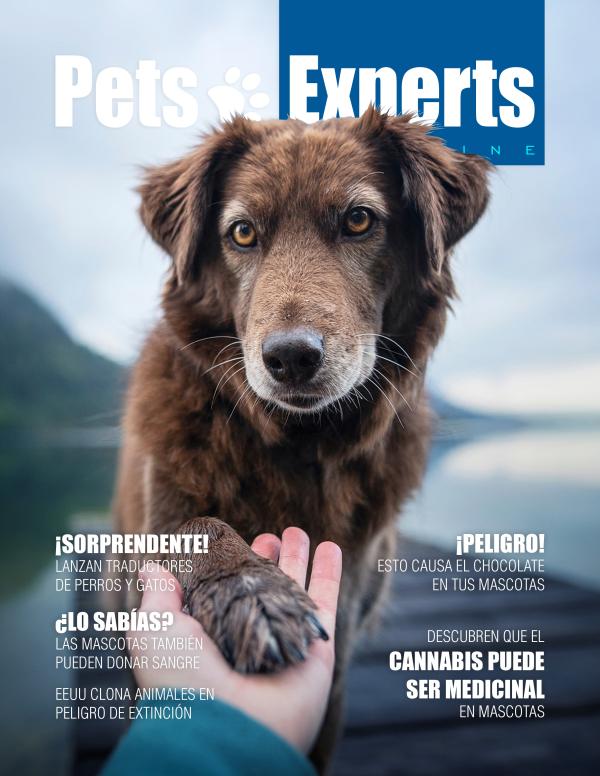 Pets Experts Magazine Febrero 2021