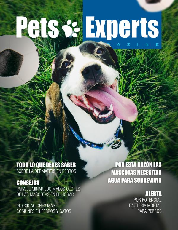 Pets Experts Magazine Junio 2021