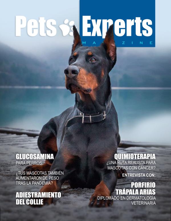 Pets Experts Magazine Noviembre 2021