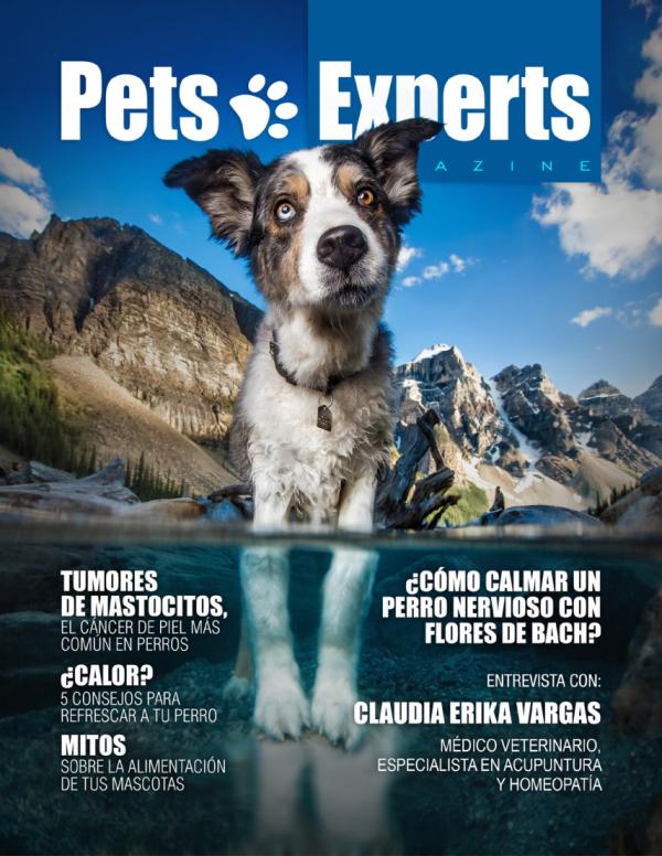 Pets Experts Magazine Abril 2022