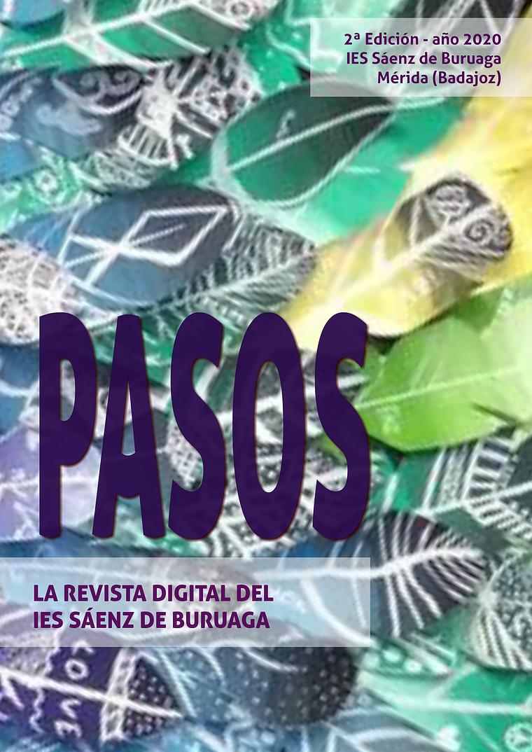 PASOS. Revista digital del IES Sáenz de Buruaga. Nº 2. Noviembre de 2020.