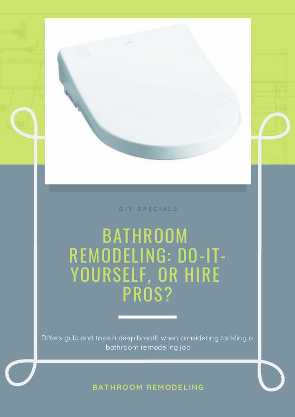 Bathroom Remodeling: Do-It-Yourself, or Hire Pros? Bathroom Remodeling Do-It-Yourself, or Hire Pros