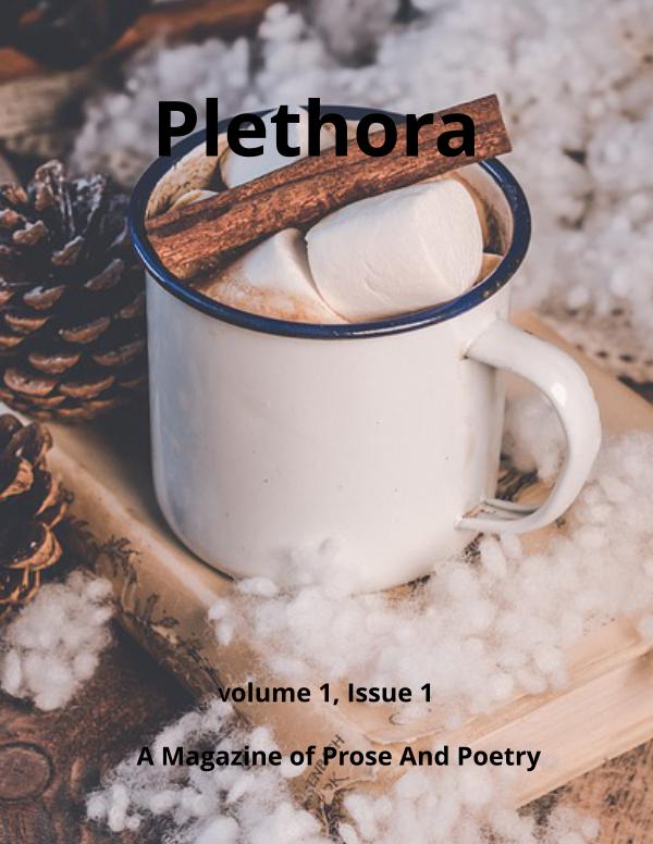 Plethora Plethora Magazine Winter Issue 1