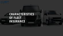 Characteristics of Fleet Insurance