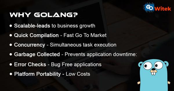 Gowitek Golang Development Company | Why Golang