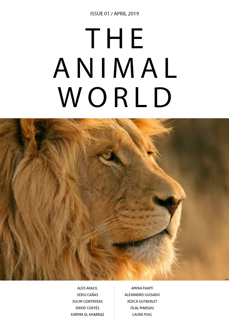 Animal World 1