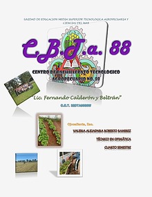 CBTA88