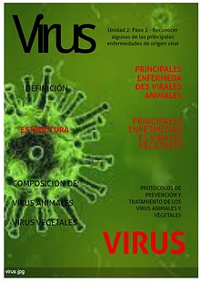 Reconocer algunas de las principales enfermedades de origen viral.