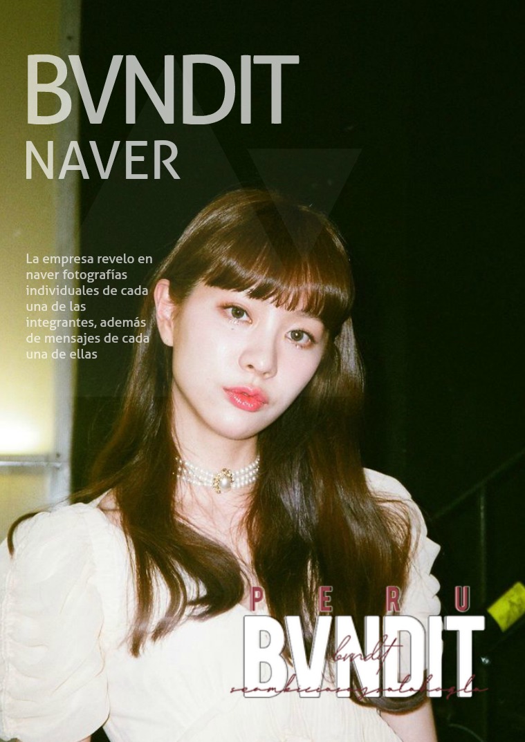 BVNDIT | Naver 01