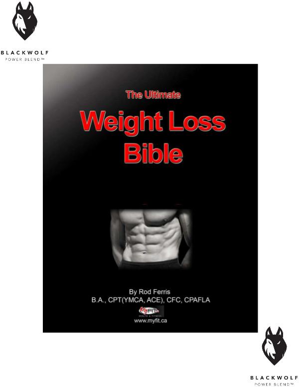 The Ultimate Weight Loss Bible PDF eBook Free Download Full Guide to Losing Weight Permanently eBook PDF