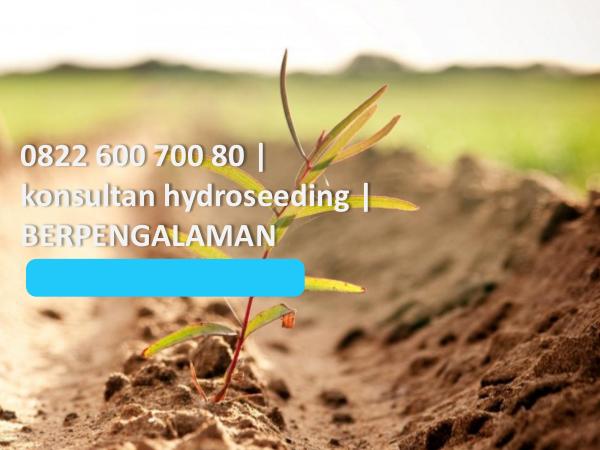 Jasa Reklamasi Lahan Tambang, 0822 600 700 80, TERMURAH 0822 600 700 80, konsultan hydroseeding, BERPENGAL