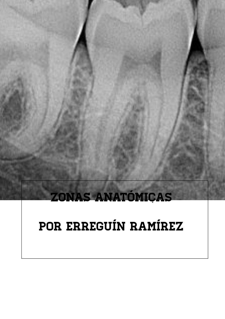 ZONAS ANATÓMICAS Odontológica