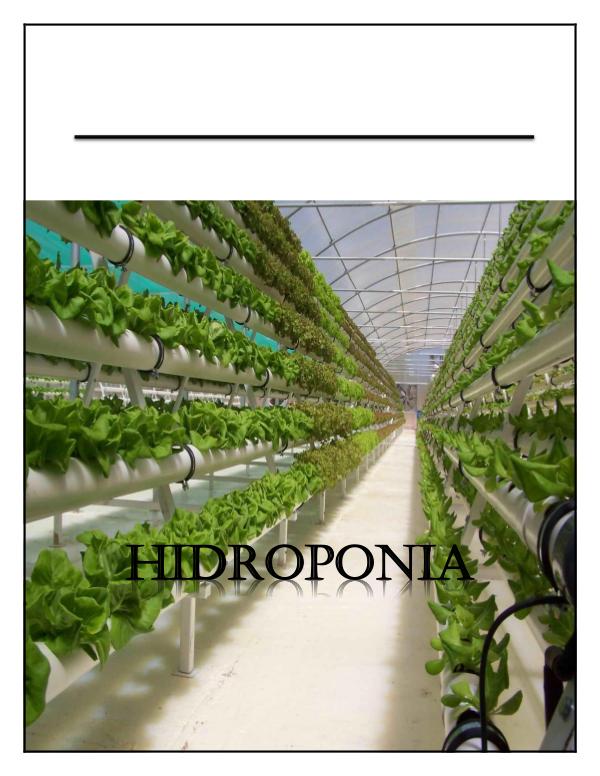 hidroponea REVISTA_DE_LA_HIDROPONIA[1]