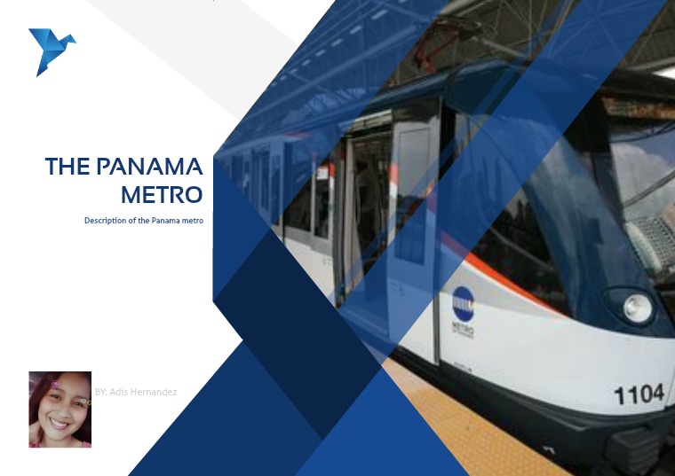 Essay the two lines of the Panama Metro 1